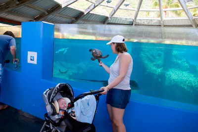 Landon with a Sea Turtle