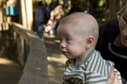 Landon at the zoo