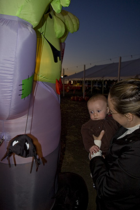 Landon at the Pumpkin Patch