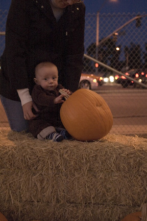 Landon at the Pumpkin Patch