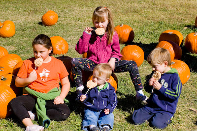 Landon at the Pumpkin Patch